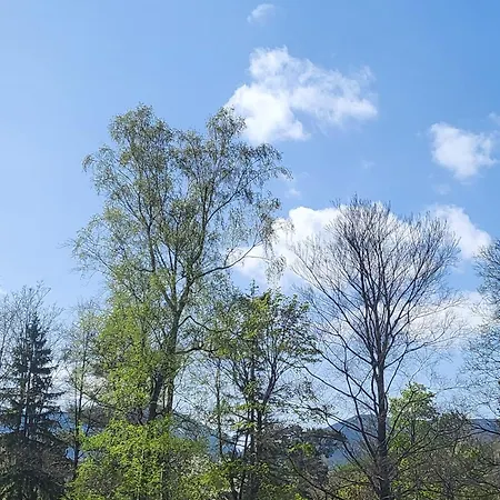 Gorskie Pejzaze * Karpacz